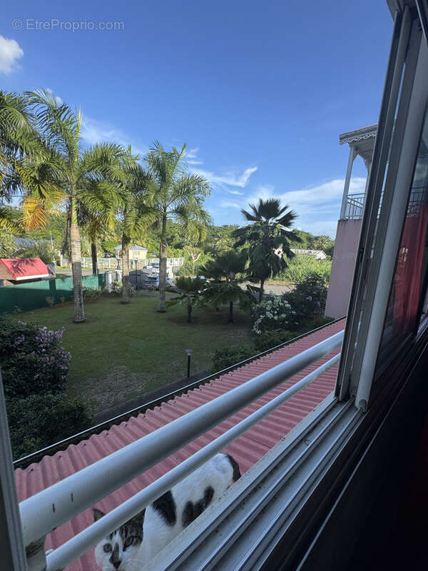 Appartement à BAIE-MAHAULT