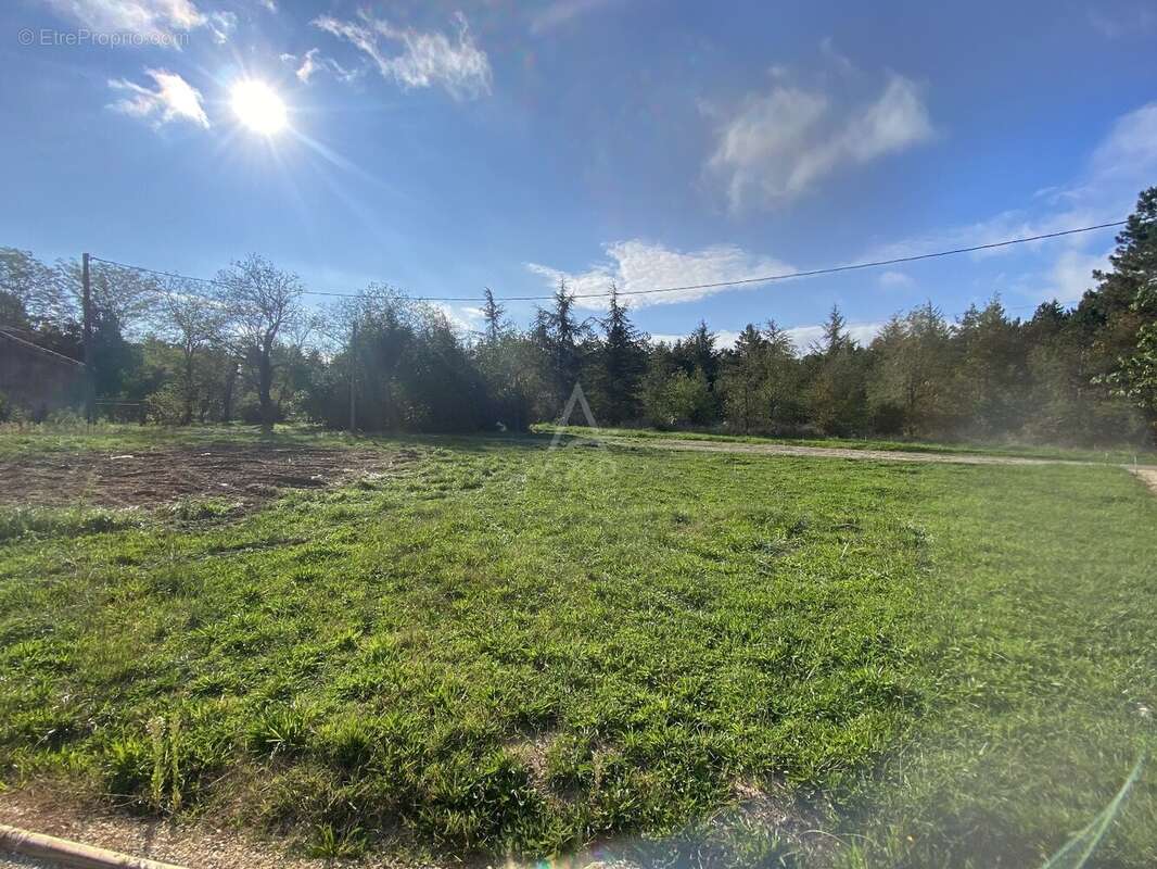 Terrain à VILLEMATIER