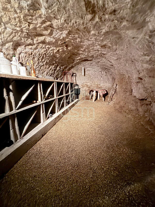 Terrain à SAINTE-MAURE-DE-TOURAINE
