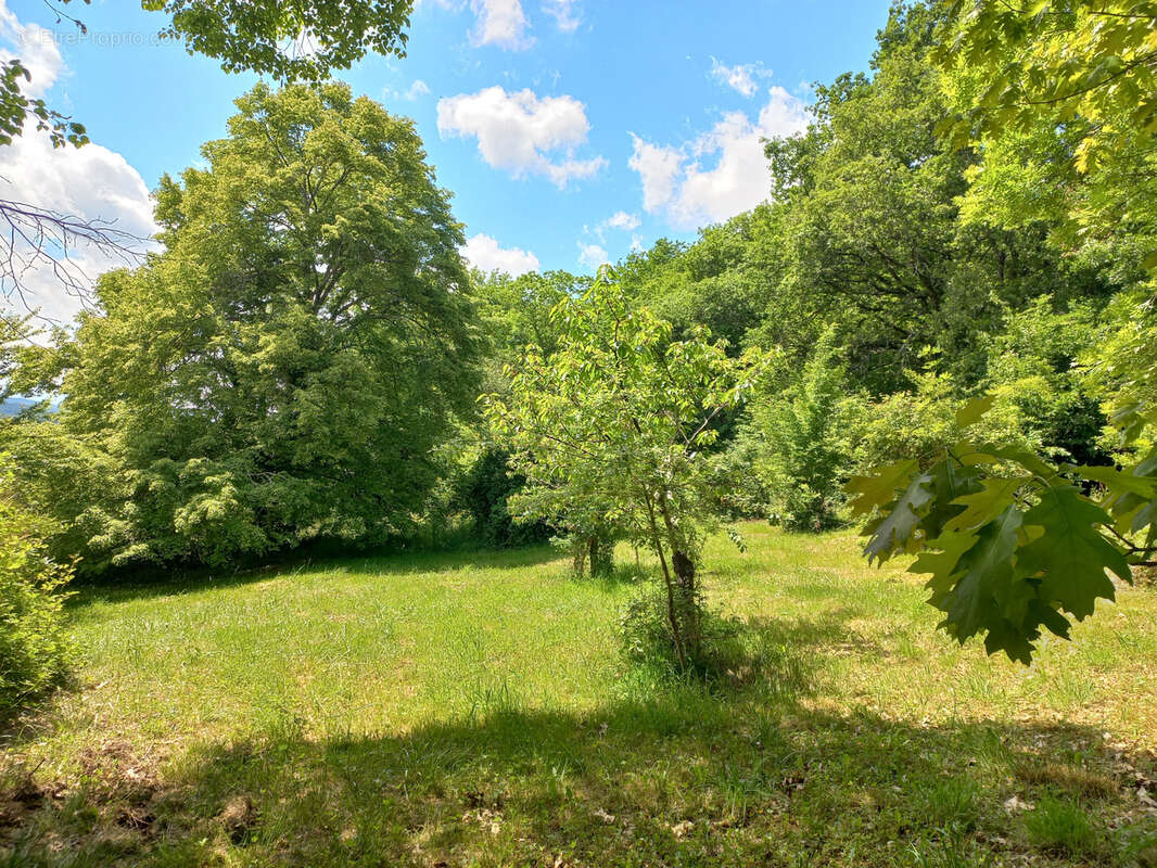 Maison à TRIE-SUR-BAISE