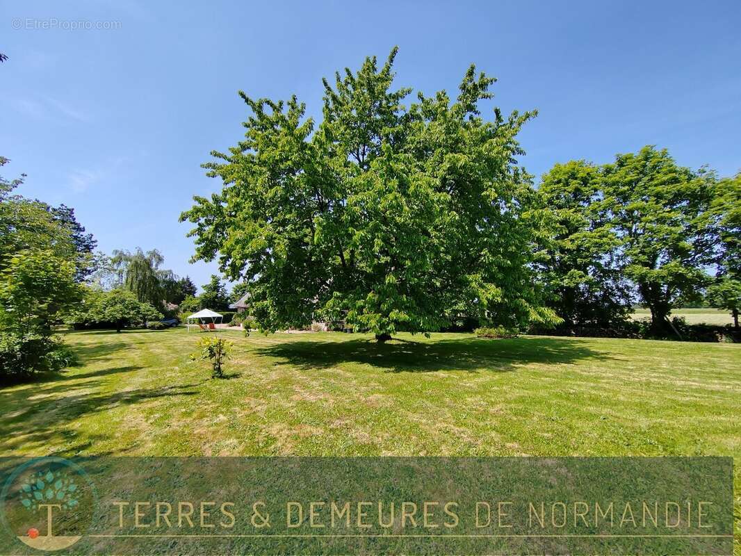 Vallée de Seine, village typique normand, propriété de caractère, au calme, jardin arboré. - photo 17