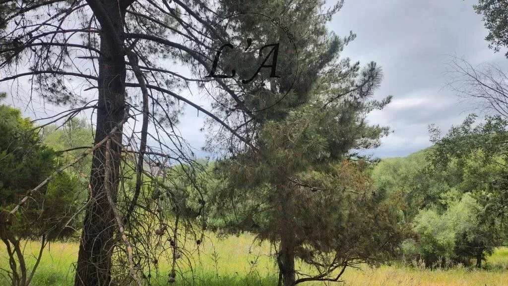 AFA – Terrain constructible de 1 270 m² – Vue campagne – Libre de constructeur - photo 7