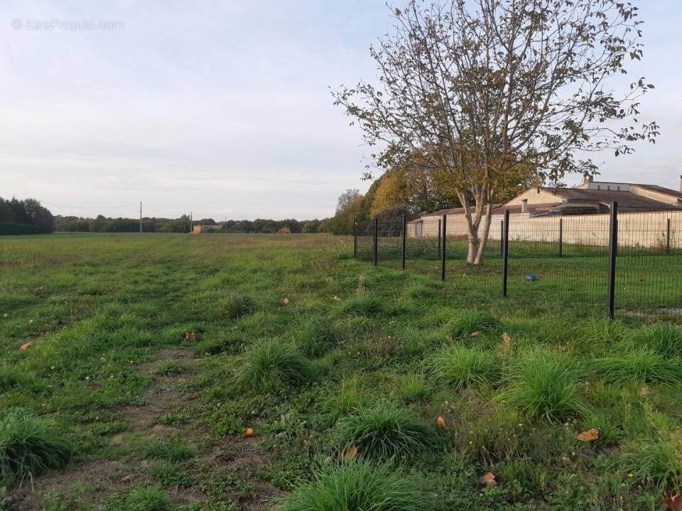 Terrain à SAINT-SAUVEUR