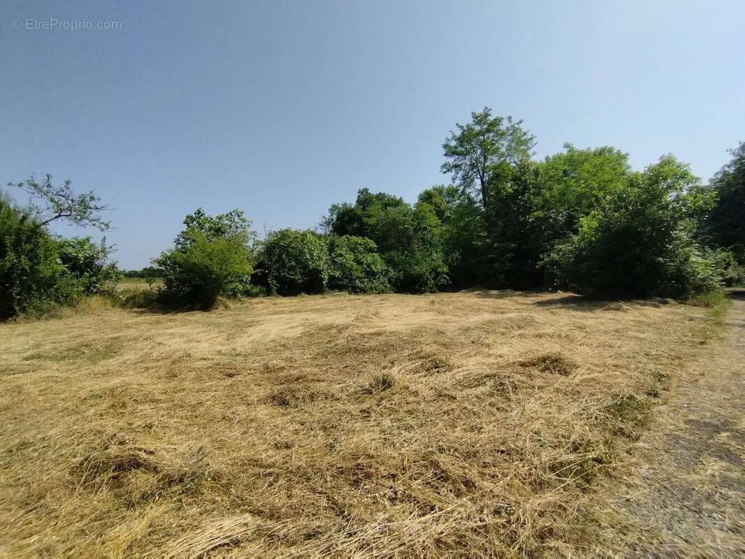 Terrain à CASTELNAU-MONTRATIER