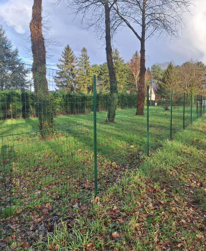 Terrain à BRAIN-SUR-ALLONNES