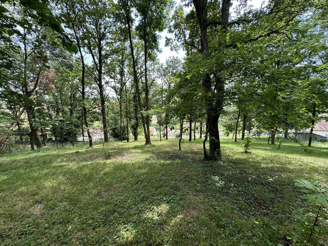 Superbe propriété Type 8 dépendances de 200 m2 sur 4100 m2 de terrain - photo 6