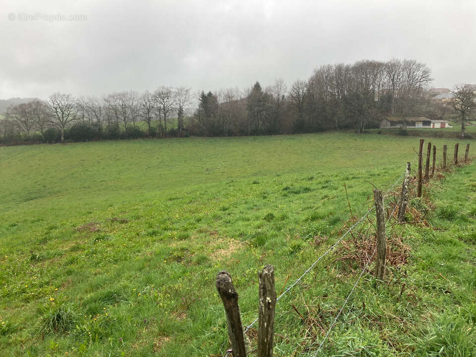 Terrain 1160 m² à Lafeuillade-En-Vezie  - photo 3