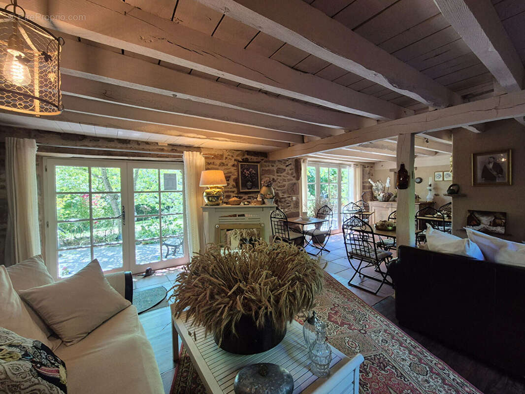 CORRÈZE. CHAMBOULIVE. Maison en pierre avec 6 chambres, piscine, 2 garages, abri voiture, entourée de jardins de 5 498 m² - photo 10