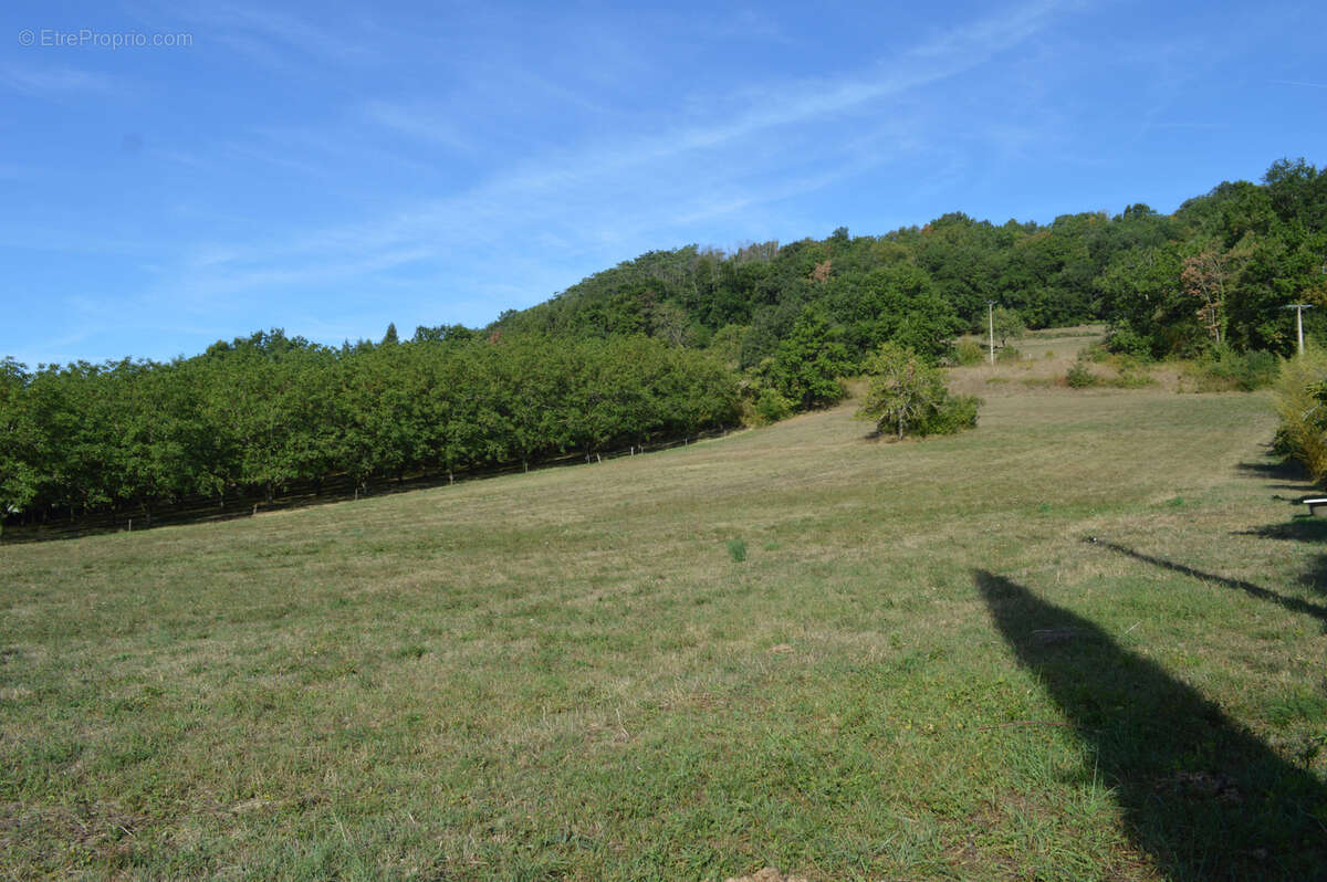 Terrain à SAINT-JEAN-LESPINASSE