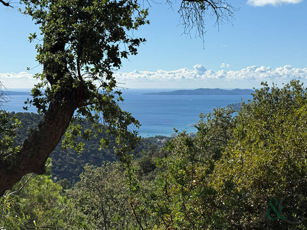 Maison à BORMES-LES-MIMOSAS