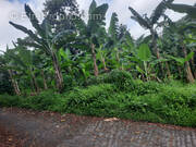 Terrain à LE LORRAIN