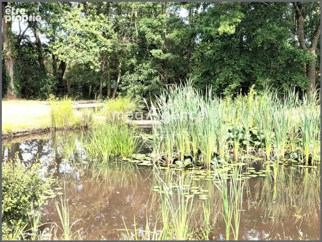 Un havre de paix, cerne par la nature!!! - photo 3
