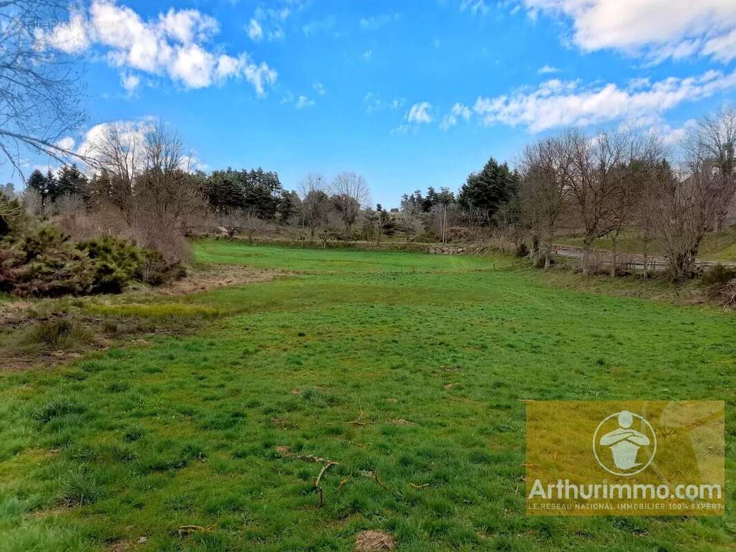 Terrain à LES LAUBIES
