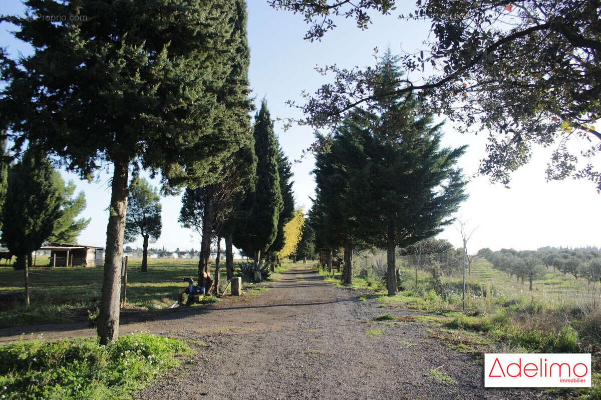 Maison à MAUSSANE-LES-ALPILLES