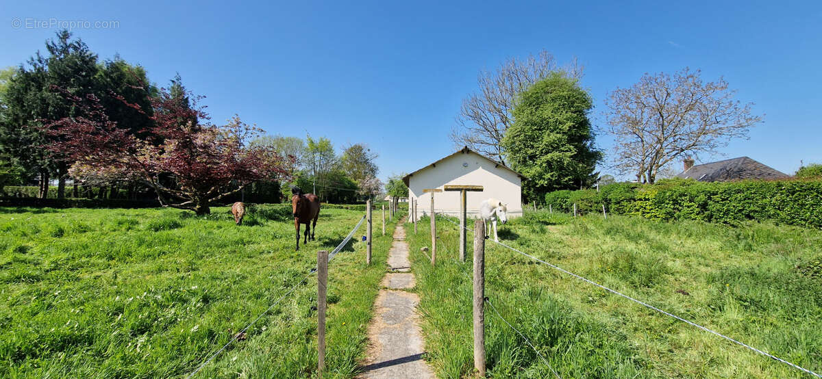 Autre à NEUFCHATEL-EN-BRAY