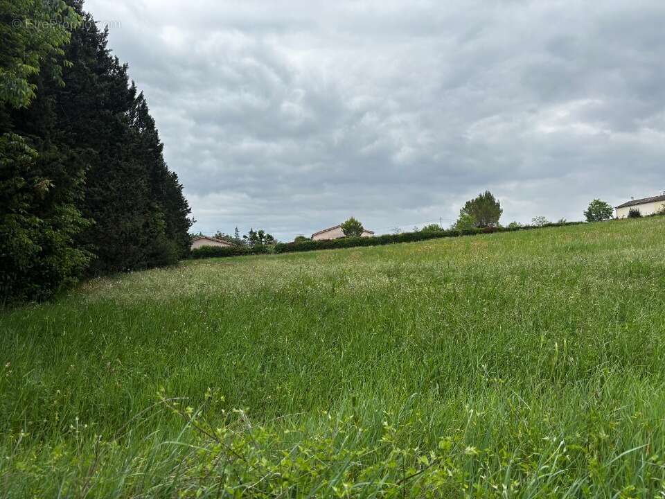 Terrain à SAINT-AMBROIX