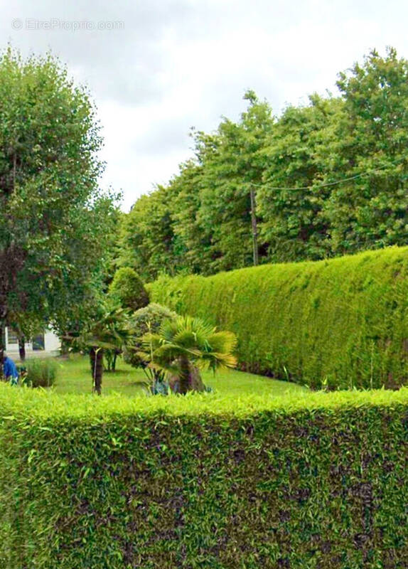 Terrain à SAINTE-FOY