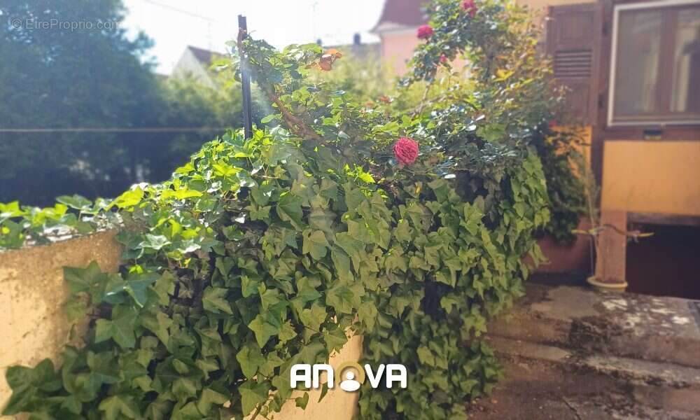 Maison à MOMMENHEIM