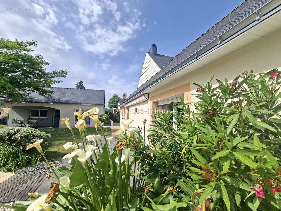 Maison à ROHAN