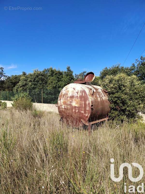 Photo 7 - Terrain à SERIGNAN-DU-COMTAT
