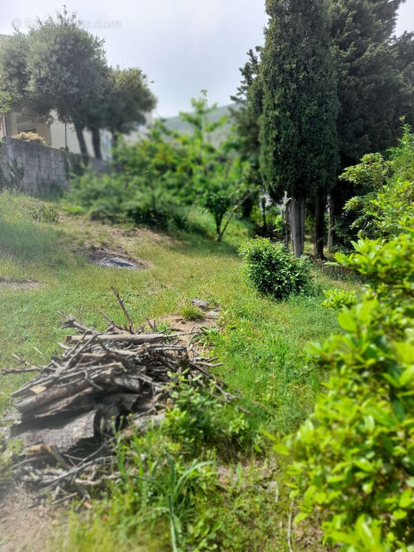 Maison à BRANDO