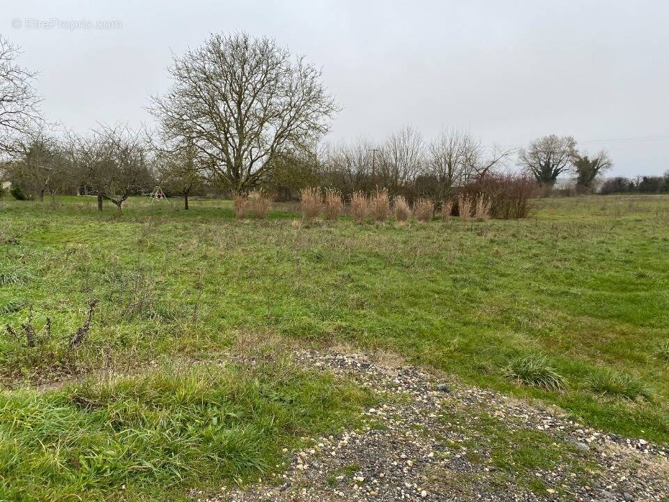 Terrain à CHAMPAGNE