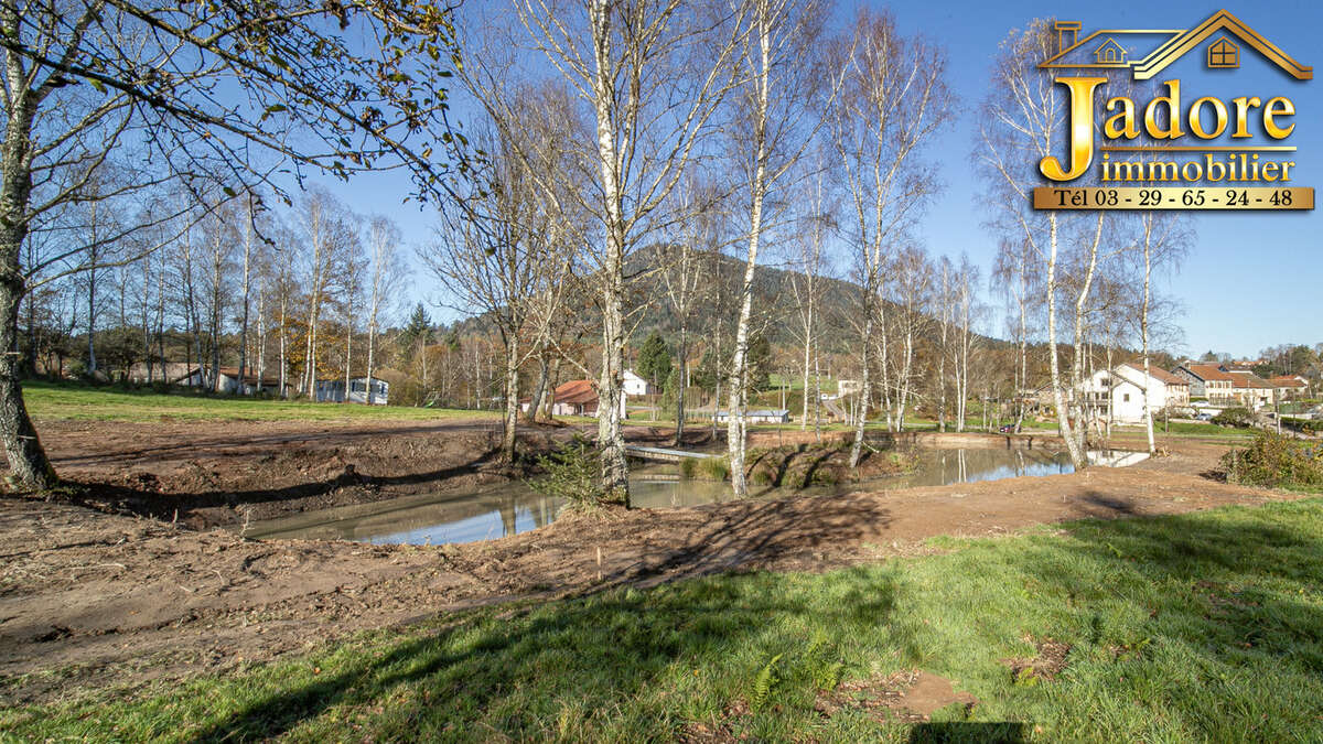 Terrain à SAULCY-SUR-MEURTHE