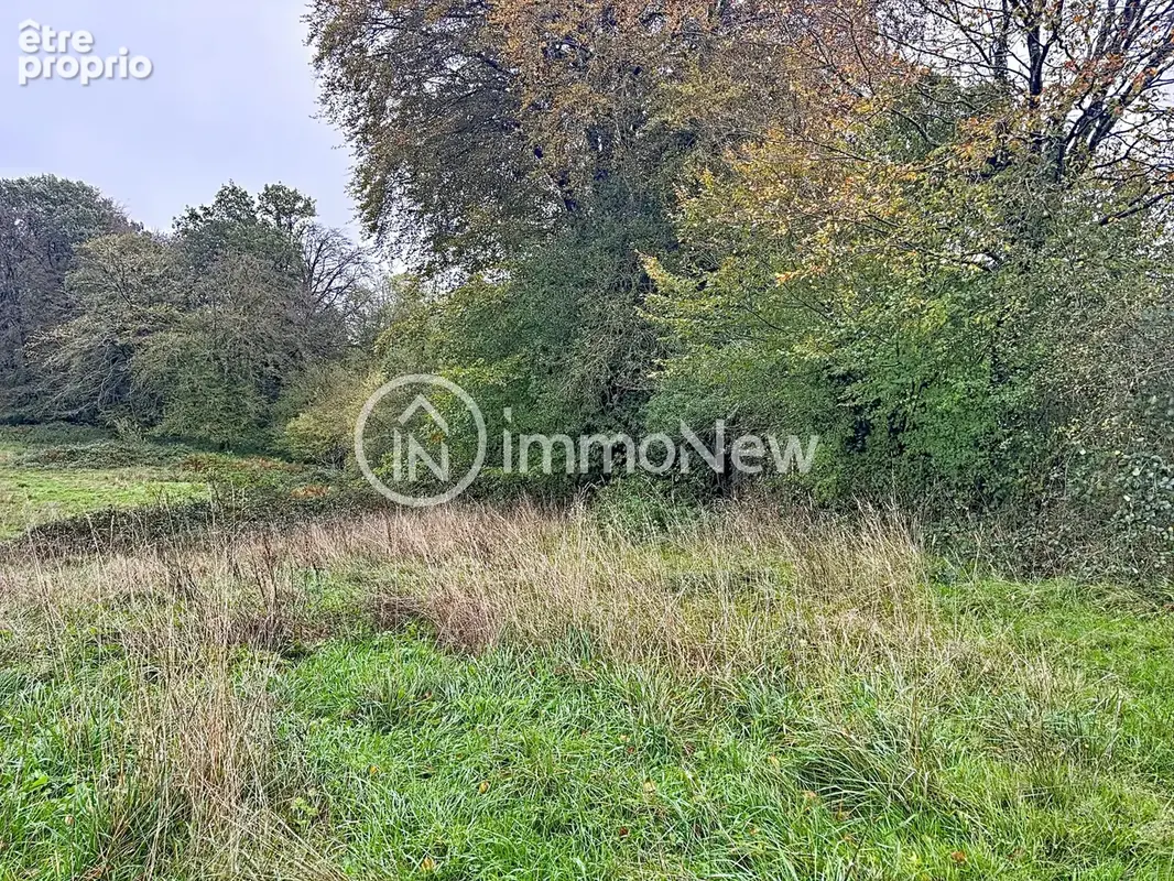 Maison a renover 70m2  sur terrain de 2 hectares environ avec ruisseau et puit - photo 9