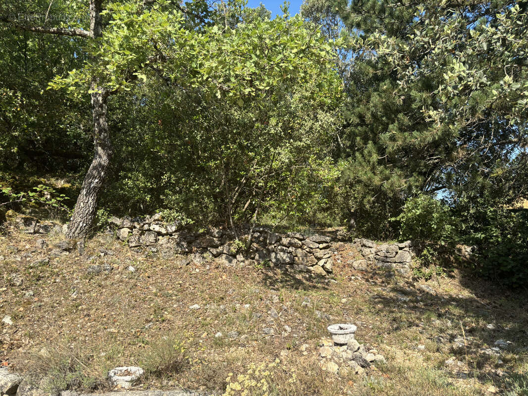 Terrain constructible 2000 m2 Saint-Martin-de-Pallières - photo 4