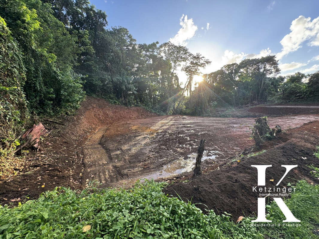 Terrain à LE LAMENTIN