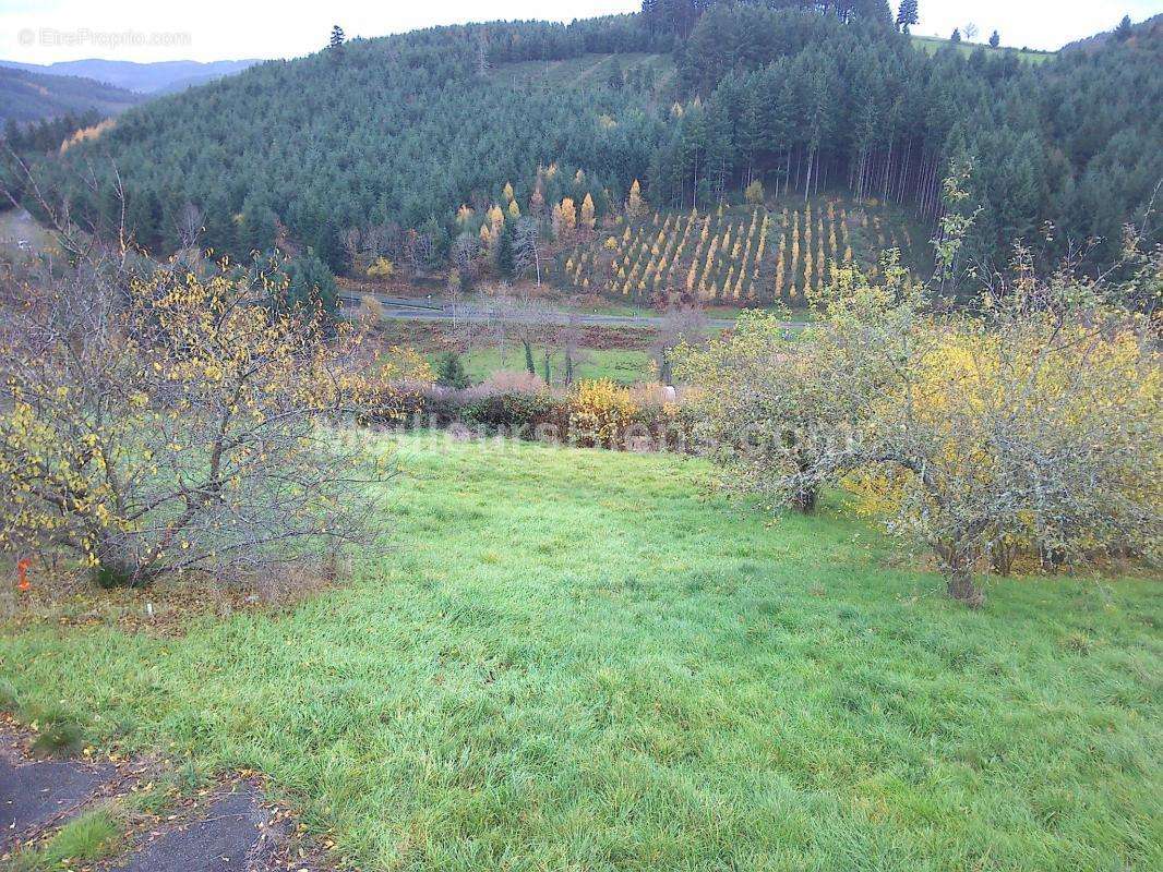 Terrain à SAINT-NIZIER-D&#039;AZERGUES