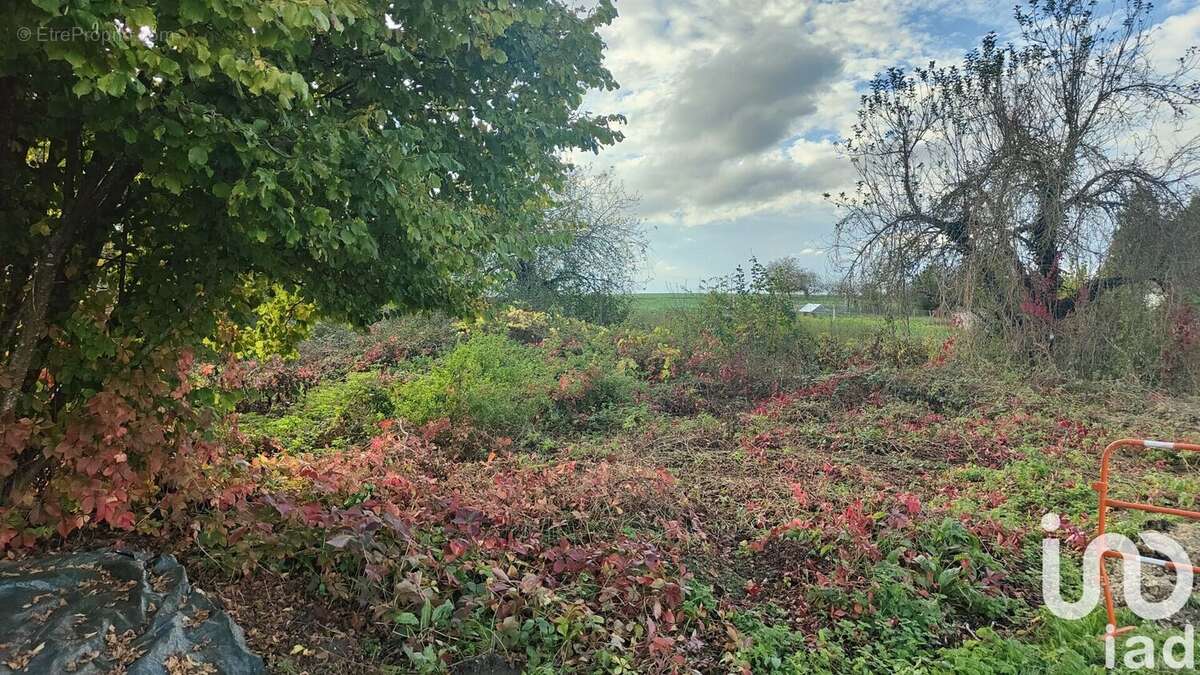 Photo 3 - Terrain à SAINT-MAURICE-THIZOUAILLE