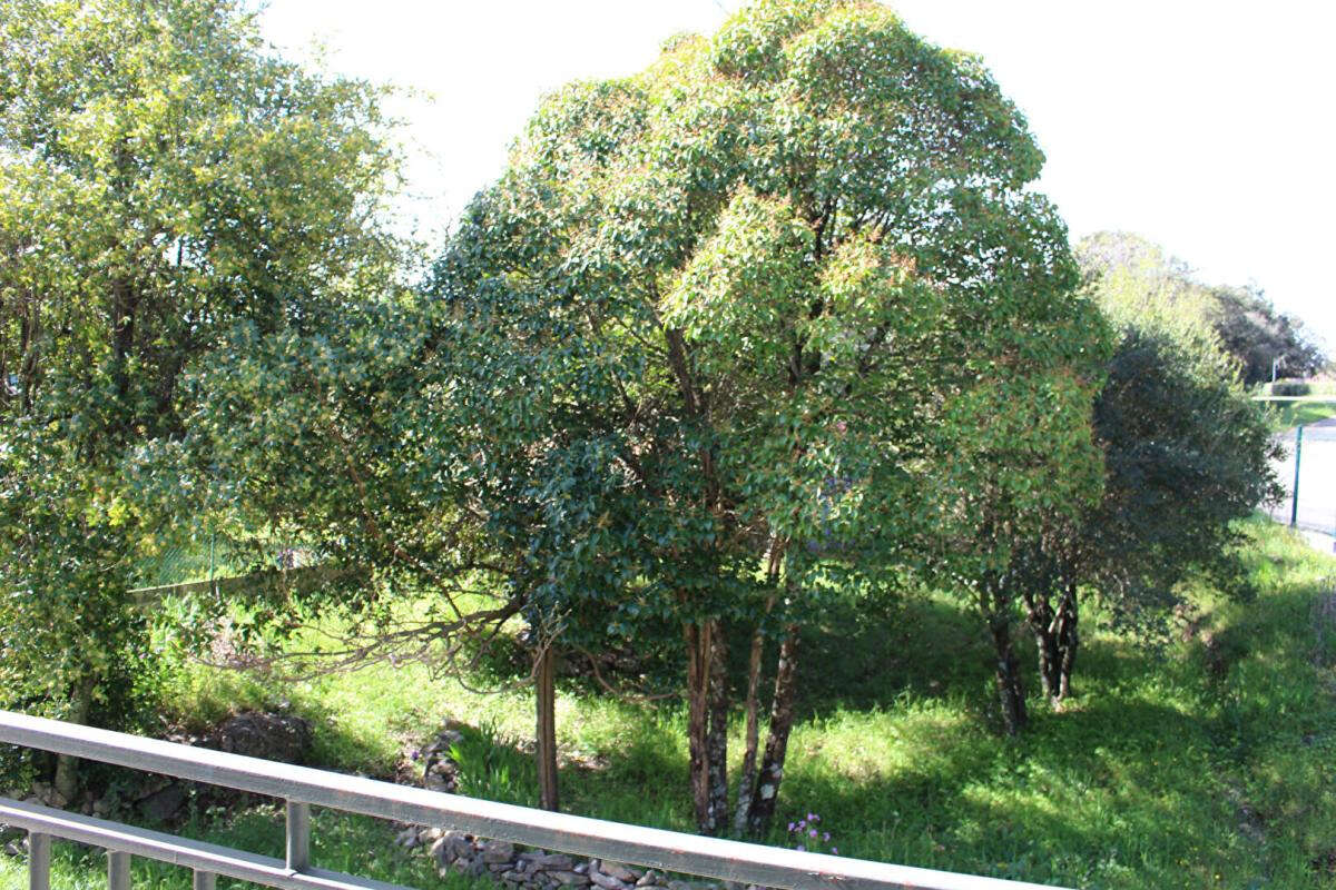 Maison modulable de 130 m² au calme, proche centre et nature - Méjannes-le-Clap - photo 4