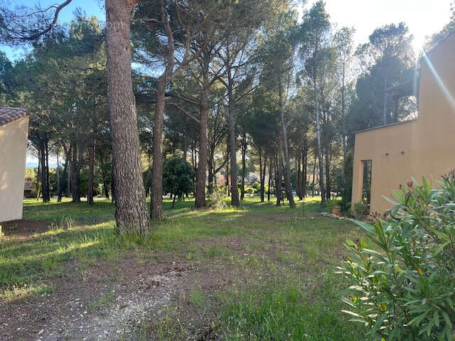 SAUMANE DE VAUCLUSE dans résidence sécurisée, au calme joli appartement T2 avec terrasse. - photo 11
