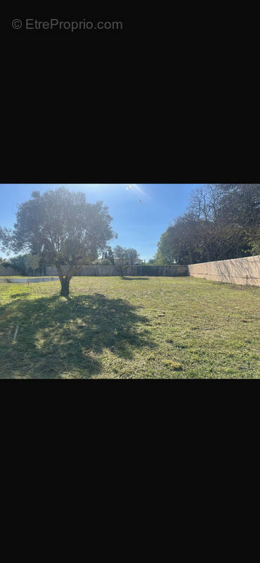 Terrain à LANSARGUES