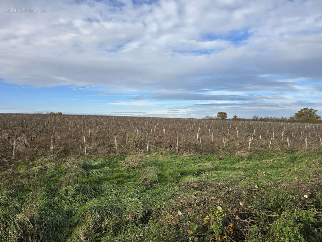 Terrain à CHATEAUMEILLANT