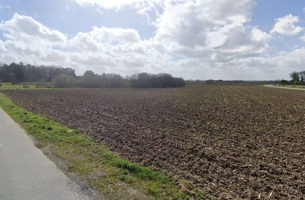 Terrain à bâtir de 340 m² à PLEURTUIT (35) - photo 2