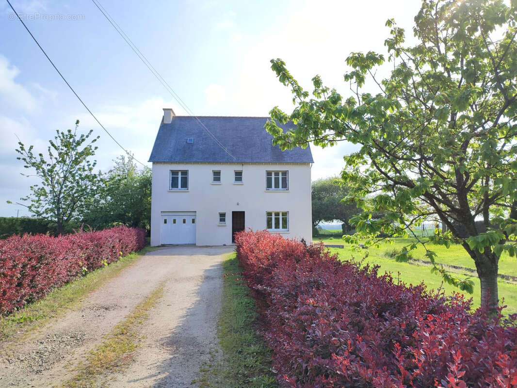 Maison à SAINT-ALBAN