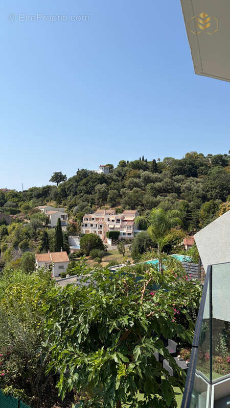 Exceptionnel coup de coeur a roquebrune-cap-martin - photo 25