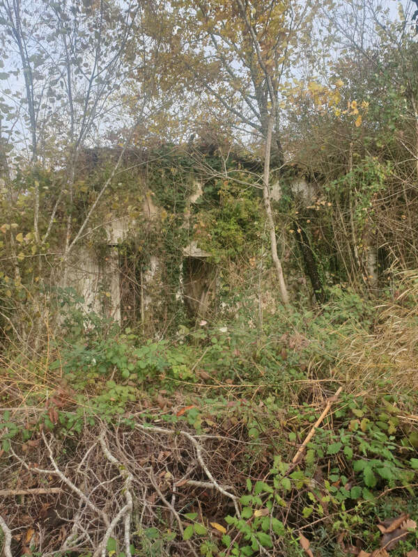 Maison à SAINT-BONNET