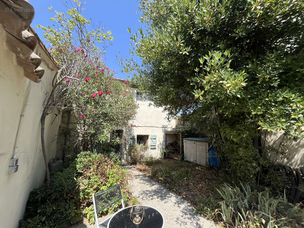 Maison de village avec jardin située a montclar - photo 10