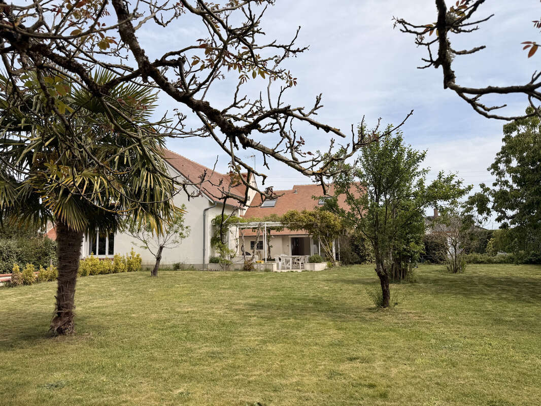 Maison à SANDILLON