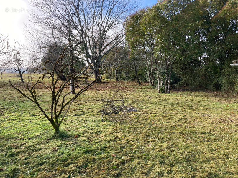 Terrain à BIRAC
