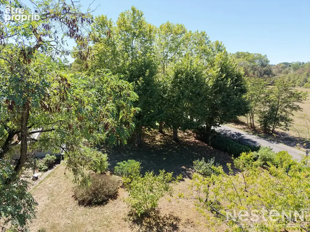 A Vendre Maison en pierre de 171 m² avec jardin arboré au coeur du village de Mouchan. - photo 5