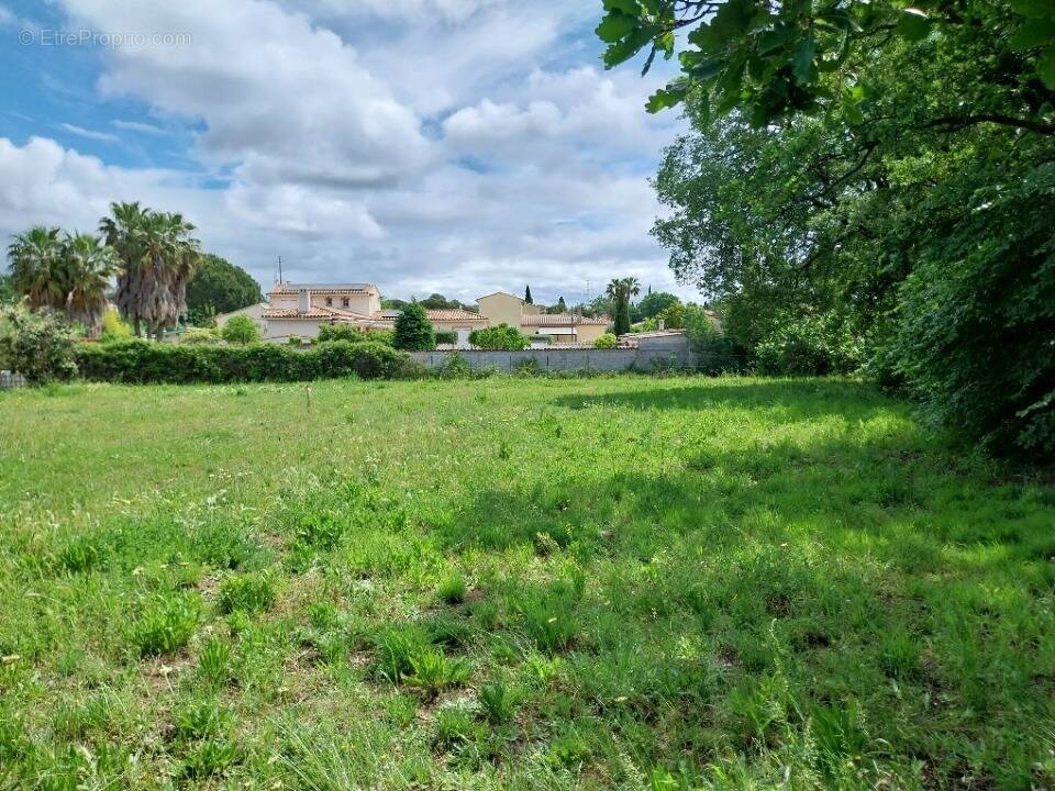 Terrain à PUGET-SUR-ARGENS