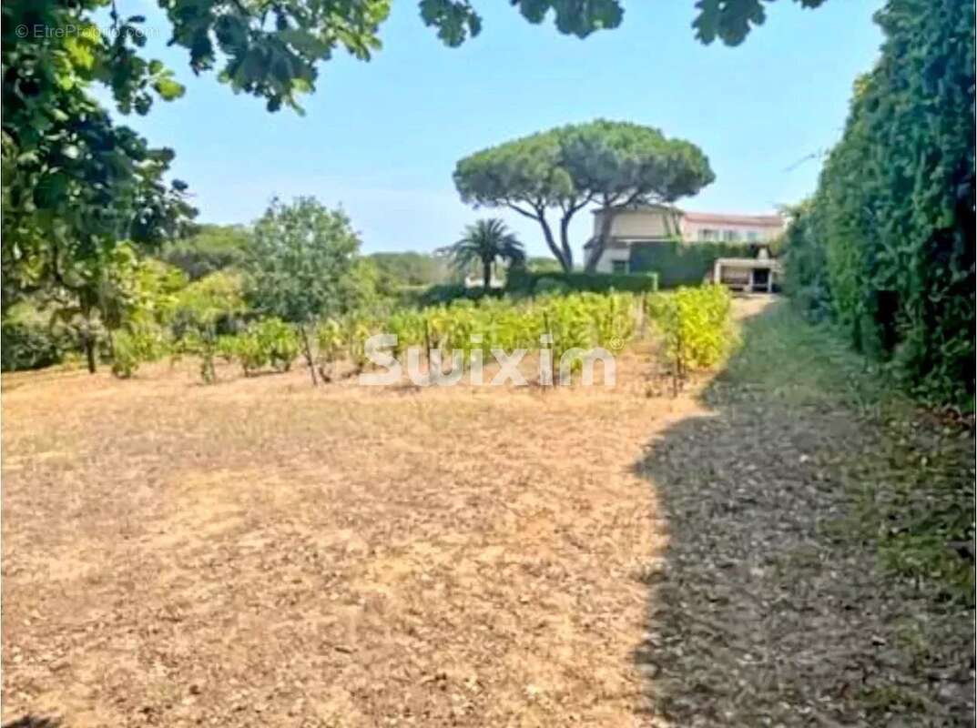 Maison à SAINT-TROPEZ