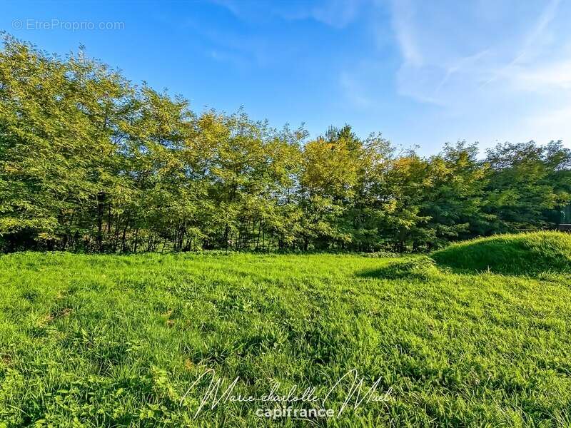 Maison à PONT-DE-VAUX
