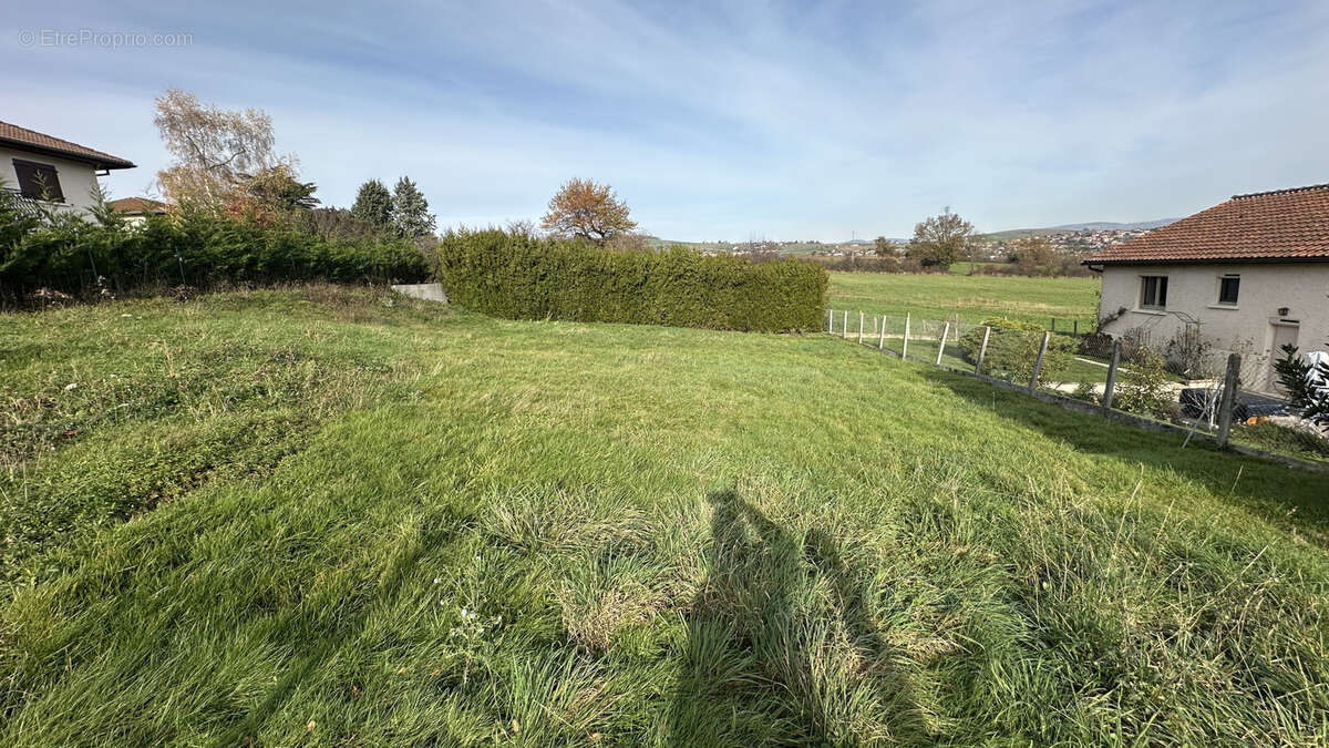 Terrain à SAINT-FORGEUX