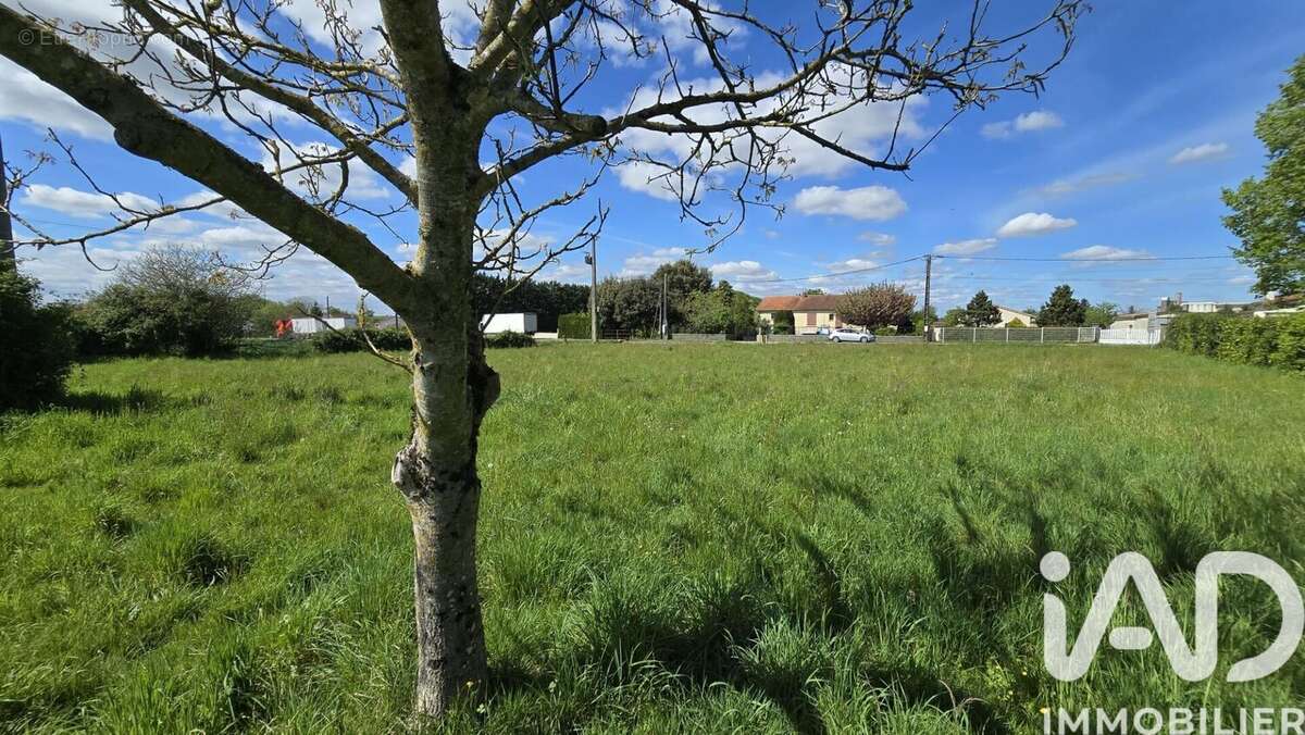Photo 5 - Terrain à SAINT-SAVIOL