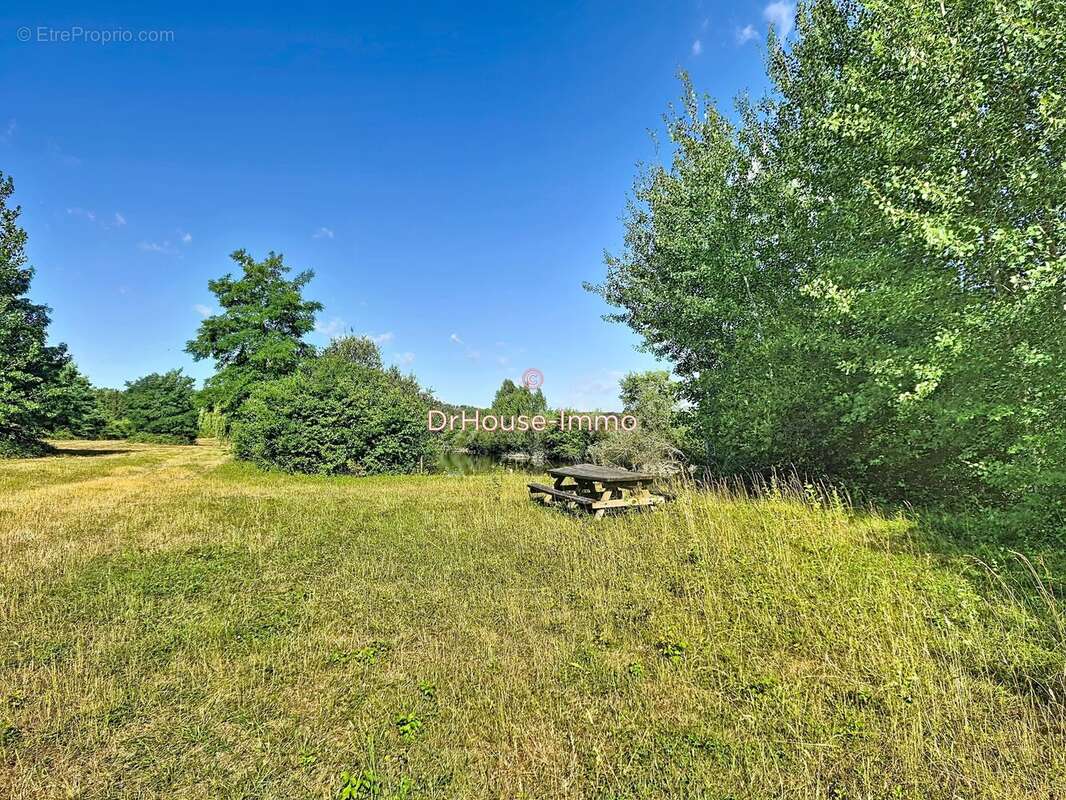 Terrain 23 052 m² à vendre à Chichery (89400) - photo 10